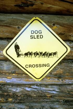 Schild warnt vor kreuzenden Hundeschlitten in Inuvik in den Northwest Territories - Kanada