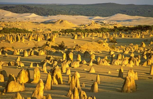  Pinnacles, kleine Wüste mit Säulen aus Kalkstein, Nambung-Nationalpark, Westaustralien, Australien iblgiv01039141