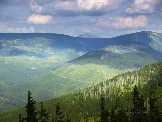 Snezka-Gipfel, 1602 m, von Smid s Aussichtspunkt, Krkonose Nationalpark, Riesengebirge Nationalpark, Ost-Böhmen, Tschechische Republik, Europa ibxgig00991494