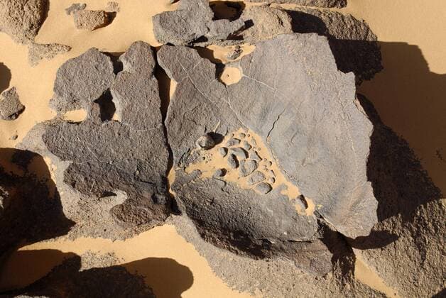 IMAGO Nature: Unsere Erde, Ressourcen, Erze Mangan Kruste auf Sandstein, Geologie, Tassili du Hoggar, Wilaya Tamanrasset, Sahara, Algerien, Afrika ibxest00901000
