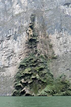 Canon del Sumidero, Sumidero Schlucht, Sumidero Canyon, mit der Kalksteinformation El Arbol de Navidad, Weihnachtsbaum, bei Chiapa de Corzo, Chiapas, Mexiko, Zentralamerika iblski01156984