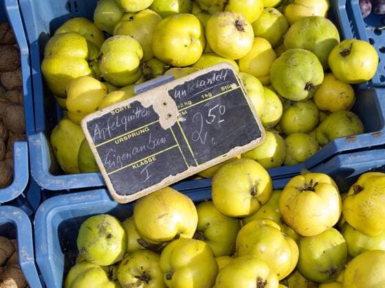 Gelbe Apfelquitten auf dem Viktualienmarkt in München