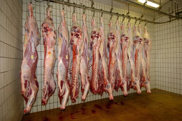Rinderverarbeitung im Schlachthof cattle processing in the slaughterhouse BLWS173942
