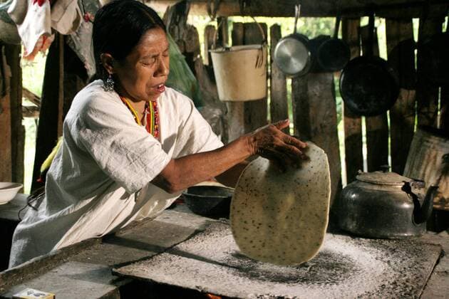 Lacandonen-Indianerin backen Tortilla in ihrer Huette in Naha im Lacandonen-Urwald in Chiapas, Mexiko, Chiapas, Lacandonen-Urwald, Naha Lacandon woman baking tortilla in her hut in Naha in the Lacandon jungle in Chiapas, Mexico, Chiapas, Lacandonen-Urwald, Naha BLWS167686
