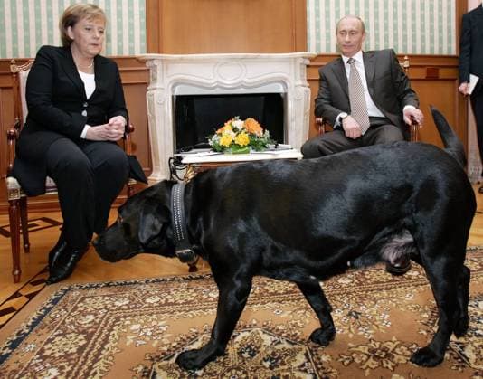 ITAR-TASS 85: SOCHI, RUSSIA. JANUARY 21. President of Russia Vladimir Putin (R) and German Chancellor Angela Merkel hold a working meeting at Bocharov Ruchei presidential residence near the Black Sea resort of Sochi. Koni, President Putin s black Labrador Retriever, seen in the foreground.  Highlight TASS_427891