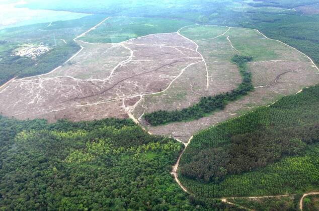 IMAGO Nature: Unsere Erde, Umweltverträgliche Herausforderungen, Palmöl (100421) -- JAMBI, April 21, 2010 (Xinhua) -- A bird s eye view shows the area for palm trees cleared in a forest in the Indonesian province of Jambi on Sumatra island, April 20, 2010. As the palm oil price is increasing on the world market, Indonesia speed up the plantations of palm trees to become the largest exporter of palm oil at the expense of the loss of virgin forest, which is the main absorber of greenhouse gases and guard of biology diversity. (Xinhua Yue Yuewei)(zx) (1)INDONESIA-SUMATRA ISLAND-DEFORESTATION-PALM OIL PLANTATION 