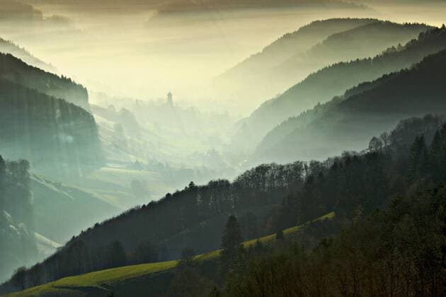 Nebelstimmung im Schwarzwald, Muenstertal, Deutschland, Baden-Wuerttemberg fog in Black Forest, Muenstertal, Germany, Baden-Wuerttemberg BLWS051779