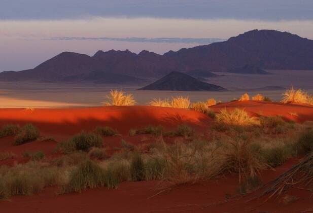 Sandduenen in der Wueste Namib, Namibia dunes - Namib desert, Namibia BLWS200535