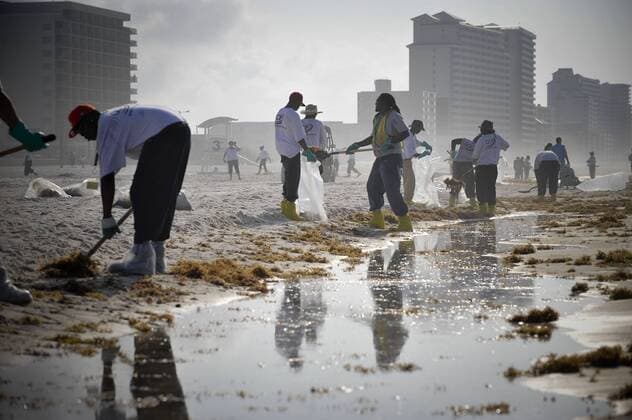(100606) -- GULF SHORES, June 6, 2010 (Xinhua) -- Workers clean the oil washed ashore from the BP Deepwater Horizon spill at the beach of Gulf Shores, southern Alabama, the United States, June 6, 2010. More than half of the oil leaking each day in the Gulf of Mexico is now being captured and the British Petroleum (BP) will restore the gulf to its original state, BP s chief executive Tony Hayward said Sunday. (Xinhua Zhang Jun) (zw) (3)U.S.-GULF OF MEXICO-OIL SPILL 