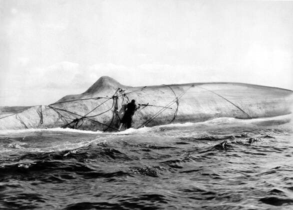 KPA50874.jpg MOBY DICK Moby Dick USA 1956 John Huston Szene: Kapitän Ahab wird von Moby Dick in die Tiefe gerießen. UnitedArchives50874