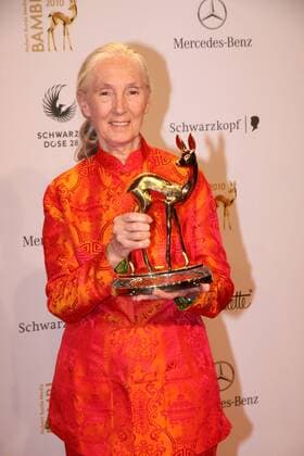 IMAGO ICONS: Jane Goodall Preisträgerin: Jane Goodall mit ihrem Bambi bei der 62. Bambi Verleihung 2010 in Potsdam am 11.11.2010 62. Bambi Verleihung 2010, Potsdam 