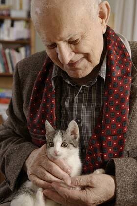  Alter Mann, Senior, 92 Jahre, Porträt, mit Katze ibllid01744408
