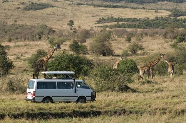 Touristen auf Safari beim Beobachten von Giraffen, Masai Mara Nationalpark, Kenia, Afrika iblspi01757366