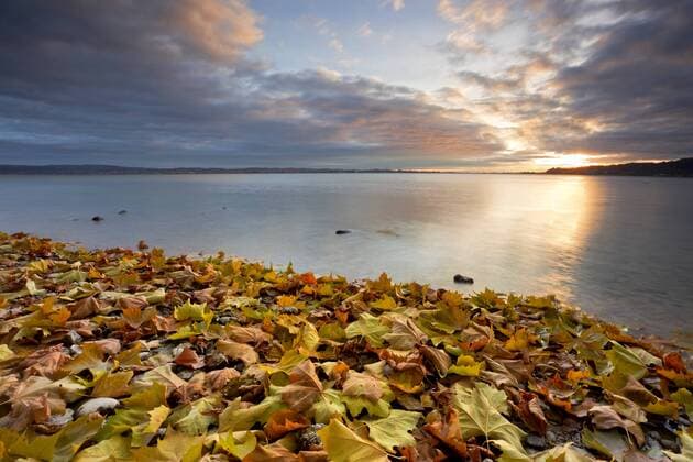 Sonnenaufgang auf der Halbinsel Höri mit Blick auf den Bodensee im Herbst, Baden-Württemberg, Deutschland, Europa iblsta01748373