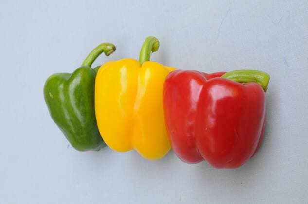 rote, gelbe und grüne Paprika (Capsicum), viel Vitamin C, vor neutralem Hintergrund, Gemüse, auch als Symbol für Lebensmittelkennzeichnung (Lebensmittelampel) und für Politik ( scharfe Ampelkoalition)
