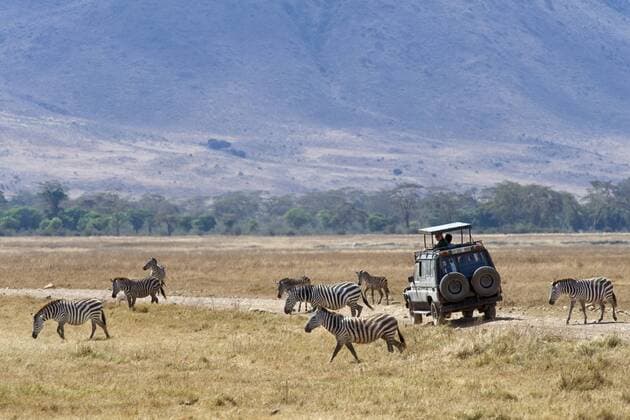 Touristen beobachten Zebras (Equus burchelli), von ihrem Fahrzeug, Ngorongoro Krater, Serengeti-Nationalpark, UNESCO Weltnaturerbe, Tansania, Afrika ibluli01857234