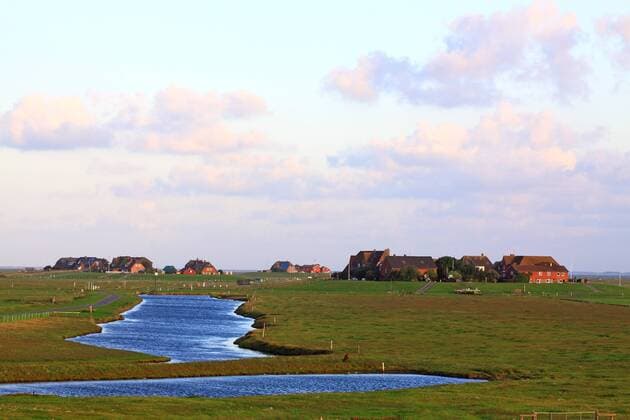  Typische Warften mit einem Nordsee-Pril im Vordergrund, Hallig Hooge, Nordfriesland, Nordsee, Wattenmeer, Schleswig-Holstein, Deutschland, Europa ibxsfs01860234