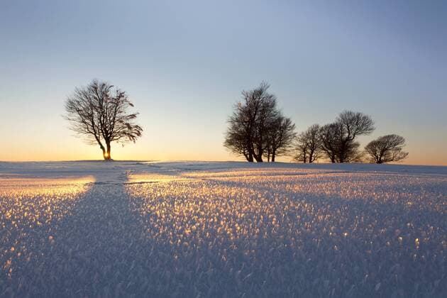 Lichtimpressionen Abendlicht auf dem Schauinsland im Schwarzwald, Baden-Württemberg, Deutschland, Europa iblsta01864836