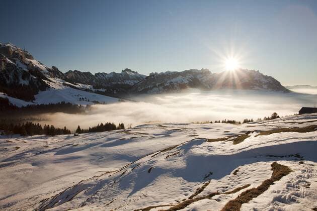 Blick auf den Alpstein mit Säntis und Alm im Schnee, Alpstein, Schweizer Alpen, Schweiz, Europa ibxsta01881633