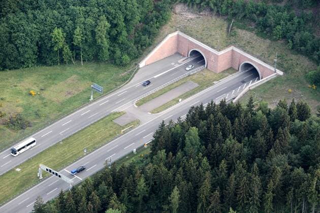 Rennsteigtunnel Oberhof , 210511, Einfahrt in den Rennsteigtunnel in Richtung Erfurt
