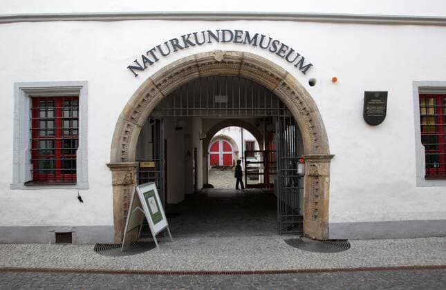 Erfurt Naturkundemuseum Erfurt Im Bild: Außenansicht