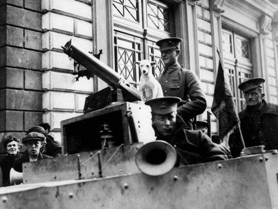 WW1 France: British armoured car with a dog, which was rescued in Antwerp. 1918 Mono Print !AUFNAHMEDATUM GESCHÄTZT! UnitedArchives0771571