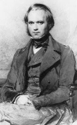 Charles Darwin in 1840. Watercolour by George Richmond (1809 -1896). Charles Robert Darwin was a British naturalist who achieved lasting fame as the originator of the theory of evolution through natural selection. Darwin s five-year voyage on the Beagle brought him eminence as a geologist and fame as a popular author. His biological observations led him to study the transmutation of species and develop his theory of natural selection in 1838. His 1859 book, The Origin of Species by Means of Natural Selection, or The Preservation of Favoured Races in the Struggle for Life, established evolution by common descent as the dominant scientific theory of diversification in nature. From Darwin and the Beagle by Alan Moorhead, page 23. Mono Print UnitedArchives0651855