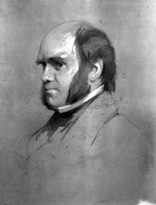 Charles Darwin in 1853. Chalk drawing by Samuel lawrence (1817-1884). From Darwin and the Beagle by Alan Moorhead, page 246. Charles Robert Darwin (1809 -1896) was a British naturalist who achieved lasting fame as the originator of the theory of evolution through natural selection. Darwin s five-year voyage on the Beagle brought him eminence as a geologist and fame as a popular author. His biological observations led him to study the transmutation of species and develop his theory of natural selection in 1838. His 1859 book, The Origin of Species by Means of Natural Selection, or The Preservation of Favoured Races in the Struggle for Life, established evolution by common descent as the dominant scientific theory of diversification in nature. Mono Print UnitedArchives0651916