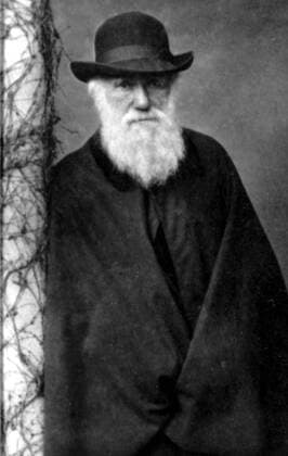 Portrait of Charles Robert Darwin 1809 -1896), the great naturalist, in his middle age c.1854. From Darwin and the Beagle by Alan Moorhead, page 268. Charles Robert Darwin was a British naturalist who achieved lasting fame as the originator of the theory of evolution through natural selection. Darwin s five-year voyage on the Beagle brought him eminence as a geologist and fame as a popular author. His biological observations led him to study the transmutation of species and develop his theory of natural selection in 1838. His 1859 book, The Origin of Species by Means of Natural Selection, or The Preservation of Favoured Races in the Struggle for Life, established evolution by common descent as the dominant scientific theory of diversification in nature. Local Caption Mono Print UnitedArchives0651917
