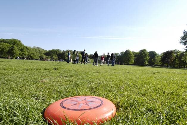Frisbeesheibe auf der Jesuitenwiese im Prater, Oesterreich, Wien frisbee disk on meadow of Prater, Austria, Vienna BLWS134673