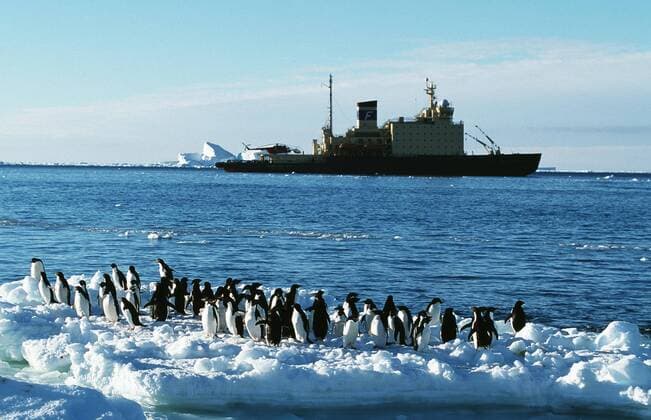 Eisbrecher, Pinguine auf Eisscholle, Tag, Antarktis, Cape Adare. BLW029172