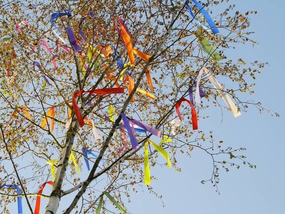 Maitraditionen Maibaum, Deutschland, Rheinland-Pfalz, Siebeldingen maypole, Germany, Rhineland-Palatinate, Siebeldingen BLWS262646