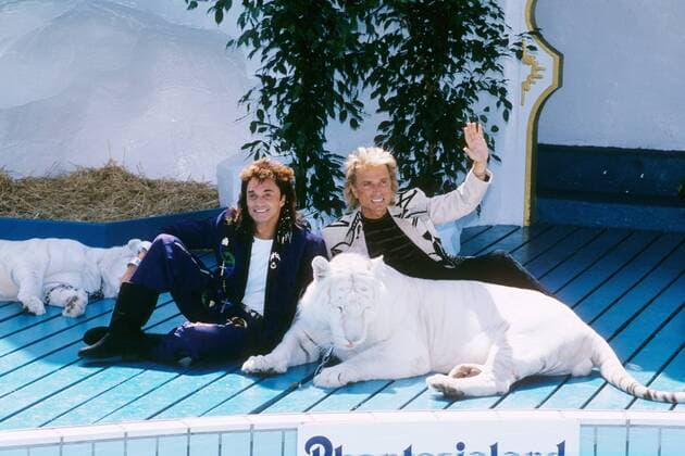 Siegfried & Roy mit weißen Tigern 06 91 nou quer ganz liegend sprechend leger Mann langhaarig Show Magie Entertainment Zauber Tier Tiger