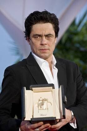 61. Internationale Filmfestspiele von Cannes 2008 Festival de Cannes 2008 61st Annual Cannes Film Festival - Tag 12. Photocall mit den Preisträgern Benicio Del Toro