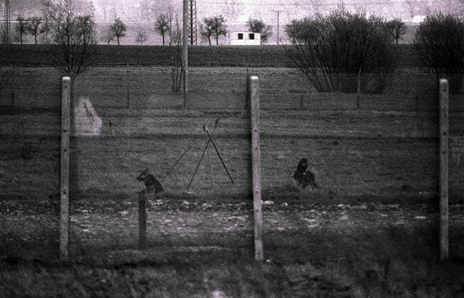 Archivmaterial: Mai 1982 , Grenzsicherungsanlage der DDR bei Neustadt Bayern, Schäferhunde an Laufketten sind Bestandteil der DDR Sperranlage. Foto Copyright : bonn-sequenz , Alter Schulweg 1 , D-53809-Reiferscheid - Jegliche Verwendung nur gegen Honorar und Beleg. Urheber Agenturvermerk - (c) bonn-sequenz - wird gemäß Paragraph 13 UrhG ausdrücklich verlangt. Es gelten ausschliesslich unsere AGB s. Grenze zwischen BRD und DDR bei Coburg