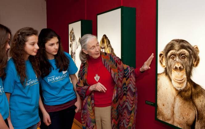 IMAGO ICONS: Jane Goodall Jane Goodall im Kinder- und Jugendmuseum Muenchen - gemeinsam mit deutschen Mitgliedern ihrer JugendInitiative roots & shoots besucht die bekannte Verhaltensforscherin die Dschungel-Ausstellung des Museums.
