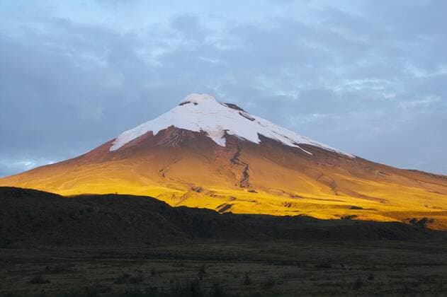 Vulkan Cotopaxi im Abendlicht, Ecuador, Anden, Cotopaxi Nationalpark Cotopaxi volcano in evening light, Ecuador, Andes, Cotopaxi National Park BLWS291626