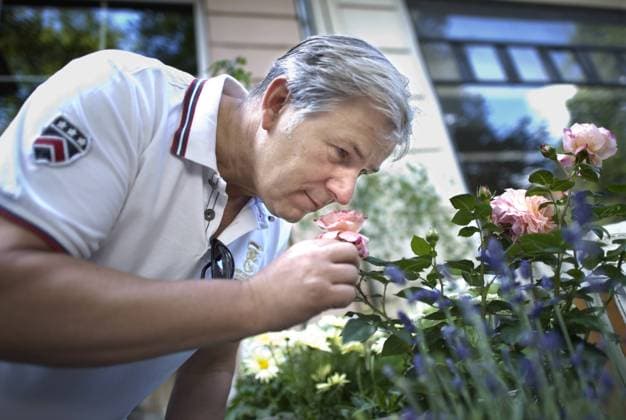 Klaus Wowereit, Wahlkampf DEU, Deutschland, Germany, Berlin, 06.08.2011 Klaus Wowereit, Der Regierende Buergermeister von Berlin und Spitzenkandidat der SPD zur Wahl zum Berliner Abgeordnetenhaus, riecht an einer Rose vor einem Blumenladen in der Leonhardtstrasse beim Strassenwahlkampf im Wahlkreis Charlottenburg in Berlin. Partei, Parteipolitik, Landespolitik, Deutsche Politik, QF Querformat, 2011, Portrait Portraet, Wahl Wahlen Landtagswahlen, Wahlen zum Berliner Abgeordnetenhaus, Wahlkampf Wahlkampagne. Klaus Wowereit, Mayor of Berlin, at election campaign as front runner for the German Social Democrat SPD for the Berlin election in 2011. Berlin with its population of 3.4 million will elect a new mayor and representatives on September 18. Politics, Germany, Politician, Portrait.