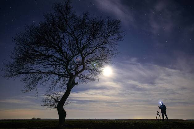 einzelner Baum und Fotograf im Mondschein single tree and photographer in moonlight BLWS326308