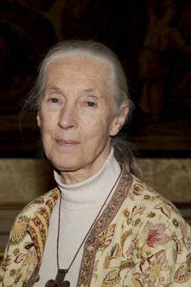IMAGO ICONS: Jane Goodall Jane Goodall SPORT : PK - Rallye Aicha des gazelles 2013 - Paris - 12 02 2013 MarineAndrieux Panoramic 