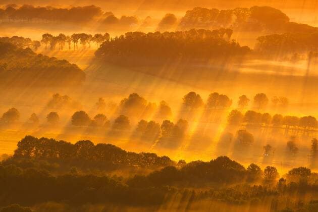 Brugs Ommeland im Nebel bei Sonnenaufgang, Belgien Brugs Ommeland at sunrise in fog, Belgium BLWS329552