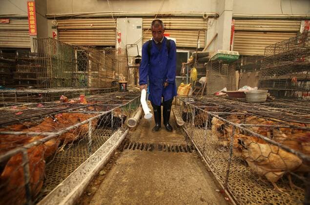 (130408) -- WUHAN, April 7, 2013 (Xinhua) -- A health worker sprays disinfectant at a closed live poultry trade market in Wuhan, capital of central China s Hubei Province, April 7, 2013. China reported three more H7N9 infections on Sunday, bringing the total number of the confirmed cases to 21 as the country is gearing up to fight the disease that has left six dead. The latest confirmed H7N9 case was reported in Anhui Province, where a 55-year-old male working in the live poultry trade was diagnosed with the virus, local health authorities said Sunday night. (Xinhua) (ry) CHINA-H7N9-POULTRY TRADE-STOP (CN) 