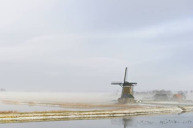 Windmuehle im Morgennebel, Niederlande, Texel wind mill in the morning fog, Netherlands, Texel BLWS335495