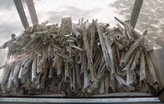 Knochen von Ermordeten in der Gedenkstätte Choeung Ek südlich von Phnom Penh (Kambodscha) am 29.3.2008. Der ehemalige Ort von Massenhinrichtungen erinnert heute an den Völkermord des Pol Pot-Regimes. Dem Terror-Regime der Roten Khmer sind zwischen 1975 und 1979 rund zwei Millionen Menschen zum Opfer gefallen. DER ABDRUCK DES EPD-FOTOS IST HONORARPFLICHTIG! Gedenkstätte Choeung Ek bei Phnom Penh (Kambodscha) 258046 EDITORIAL USE ONLY