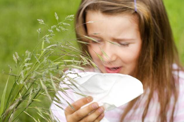 Maedchen mit Heuschnupfen, Deutschland girl with hayfever, Germany BLWS338679