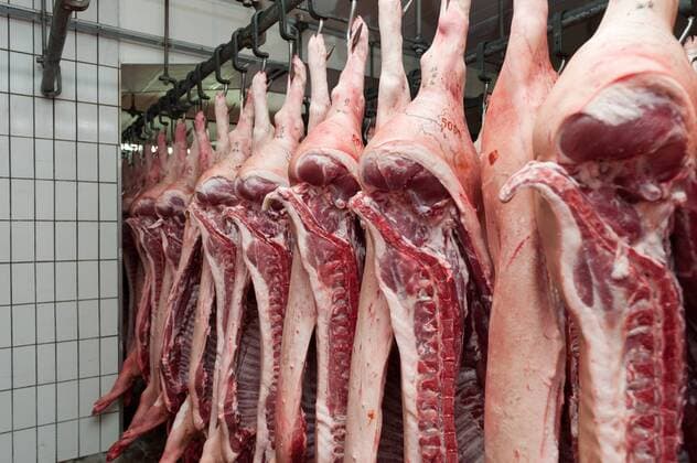 Schlachthof, frisch geschlachtete Schweine hängen teils schon ausgenommen als Hälften am Fleischerhaken Markthallen München