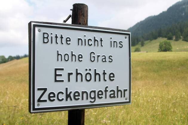 Warnschild mit Aufschrift bitte nicht ins hohe Gras gehen, erhöhte Zeckengefahr (Ixodida, Ordnung der Milben (Acari), Überordnung der Parasitiformes) auf einer Naturwiese Nähe Bayrischzell am Fuss des Wendelstein s in Oberbayern, Bayern