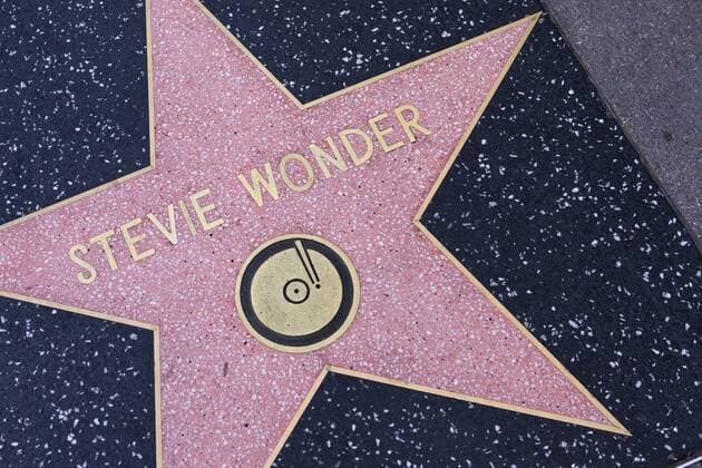 Stevie Wonder ILLUSTRATIONS : Hollywood Walk of Fame - Los Angeles - 04 10 2013 ChrisElise Panoramic 