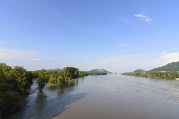 Donau im Nationalpark Donauauen bei Hochwasser, Blick nach Hainburg an der Donau in Hainburg an der Donau, Österreich, Niederösterreich, Donau