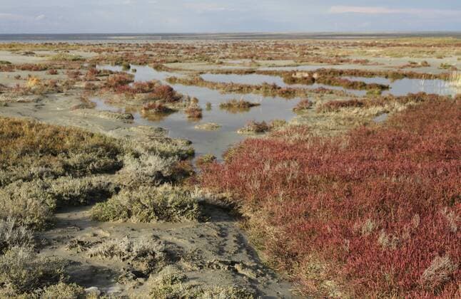 Lake Elton - a salt lake in Volgograd Oblast, Russia, near the border with Kazakhstan. NikolayxTitov 